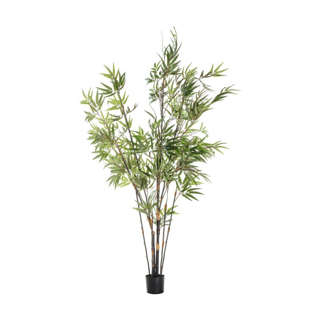 Gallery Direct Bamboo w9 Leaves | Shackletons