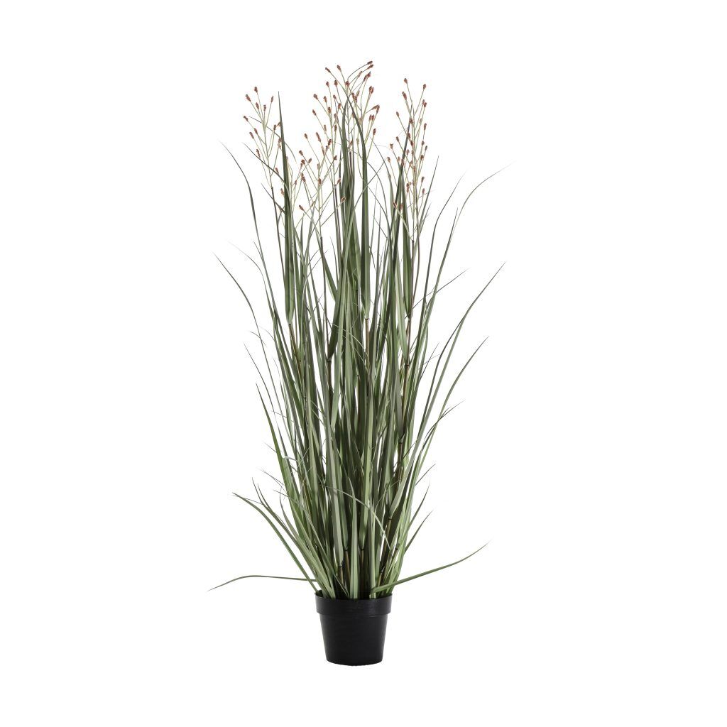 Gallery Direct Potted Grass w7 Heads GreenRusset | Shackletons