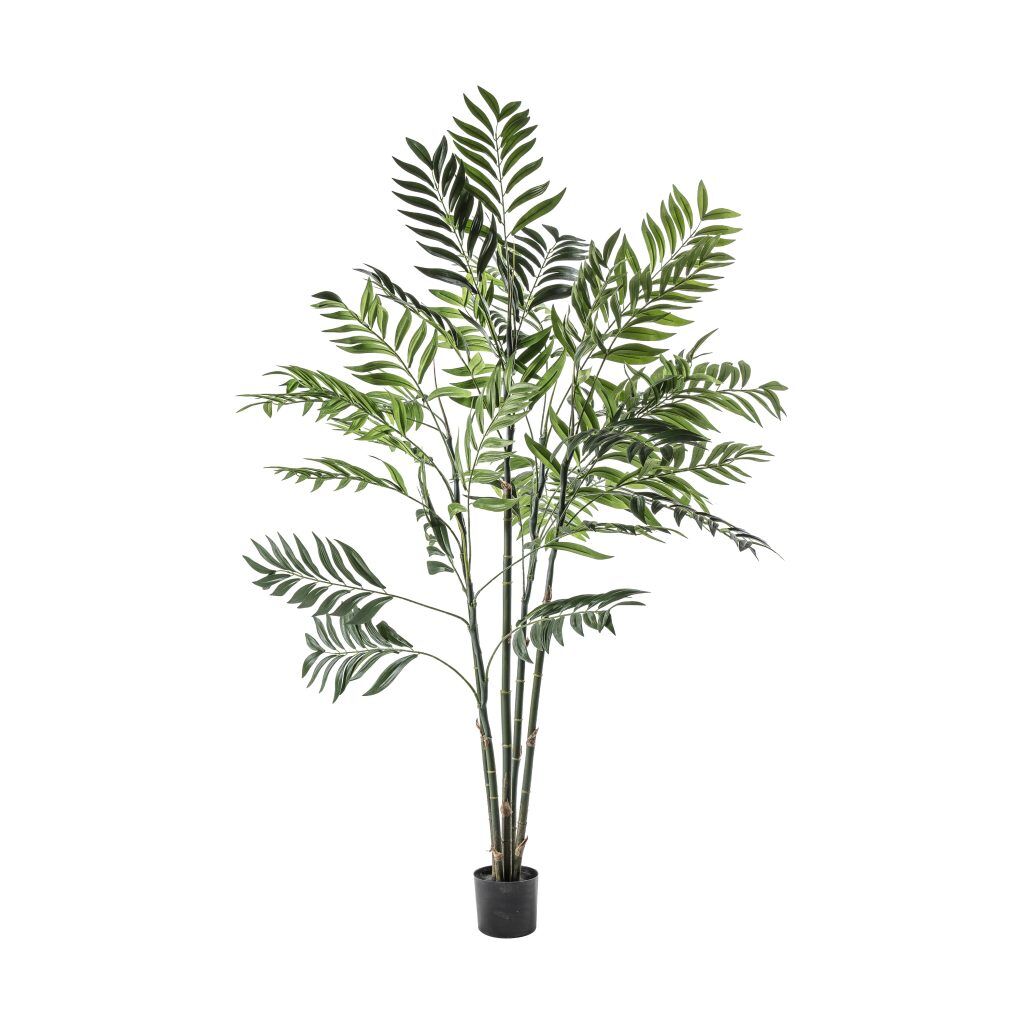 Gallery Direct Areca Palm Tree Large | Shackletons