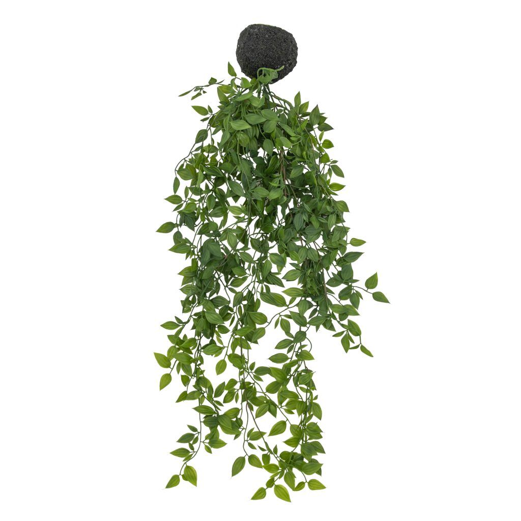 Gallery Direct Trailing Vine in Soil Green | Shackletons