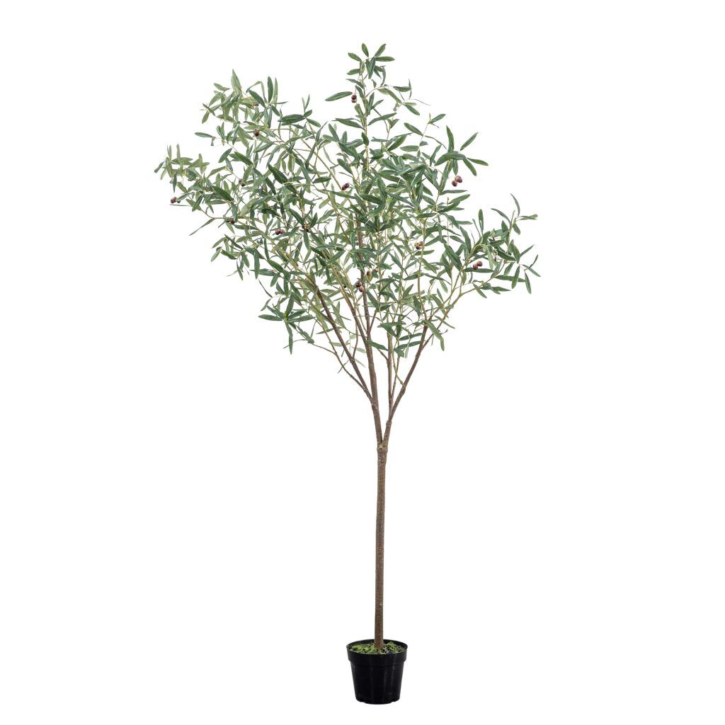 Gallery Direct Olive Tree Large Green | Shackletons