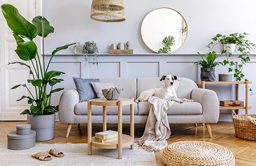 Interior Accessories | Shackletons
